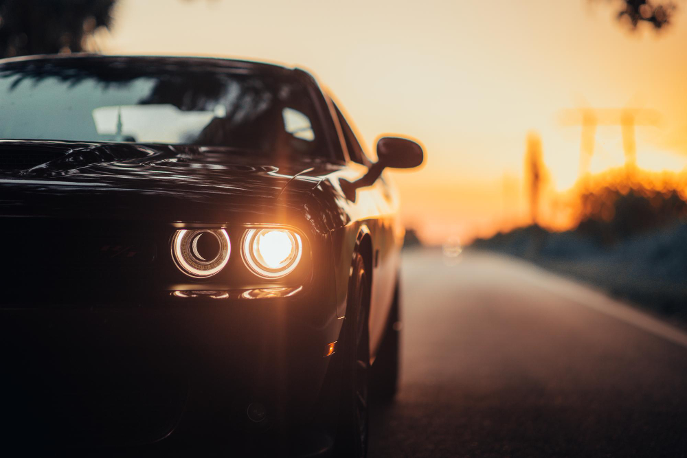 mustang.jpg